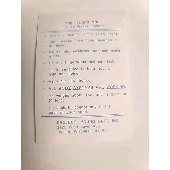 NWT The "Young One" 11-12 Week Preborn Baby Plastic Model Science Maternity (2) - Picture 4 of 5